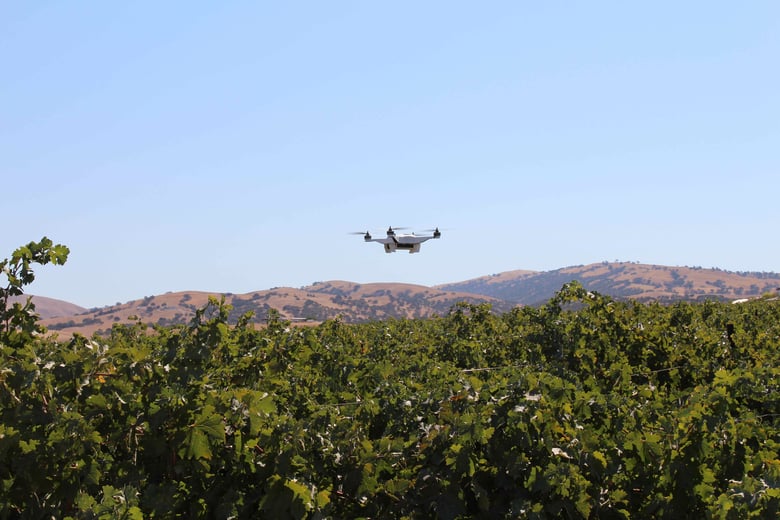 drone in vineyard.jpg